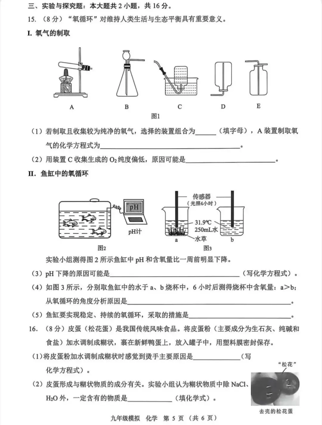 2026年兰州市中考一诊化学试卷及解析 第5张