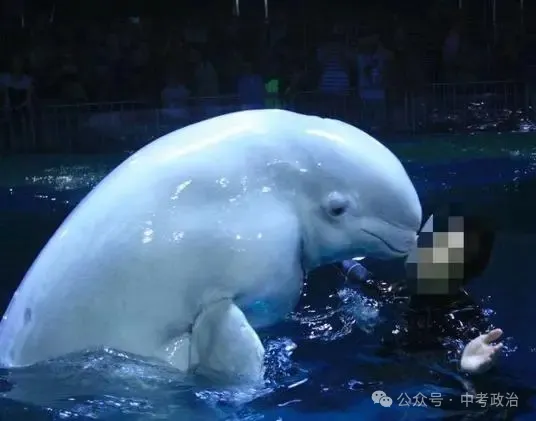 2026年中考道法选择题强化题库100题10份(六册综合) 第16张