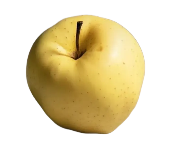 中考资讯丨青岛艺术学校2026年招生专业考试美术试题 第28张