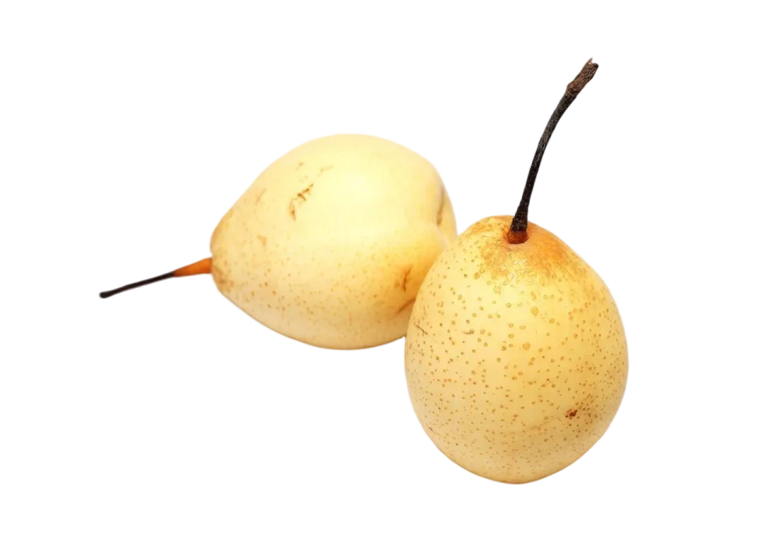 中考资讯丨青岛艺术学校2026年招生专业考试美术试题 第29张