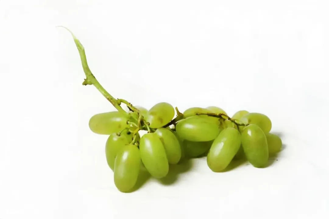 中考资讯丨青岛艺术学校2026年招生专业考试美术试题 第31张