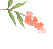 2026年茂名市体育中考新世纪学校考点致考生家长的一封信 第2张