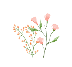 2026年茂名市体育中考新世纪学校考点致考生家长的一封信 第7张