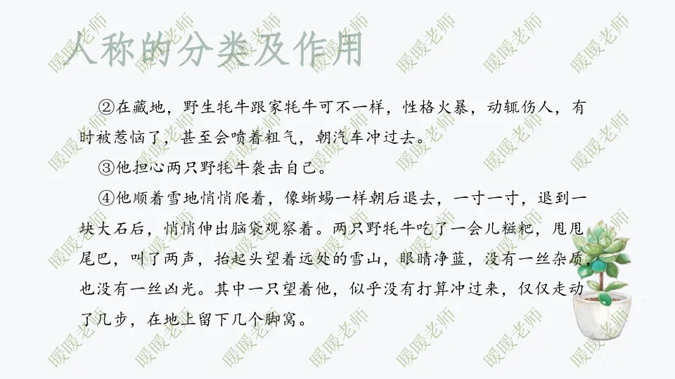 中考复习——记叙文题型与技巧-赏析类(人称的分类及作用) 课件59页 第12张