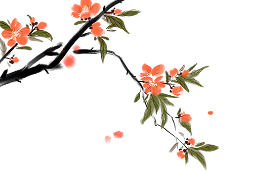 全篇《为什么我的高考试卷总是白纸啊?》苏欣欣李教授【后续】免费大结局 第1张