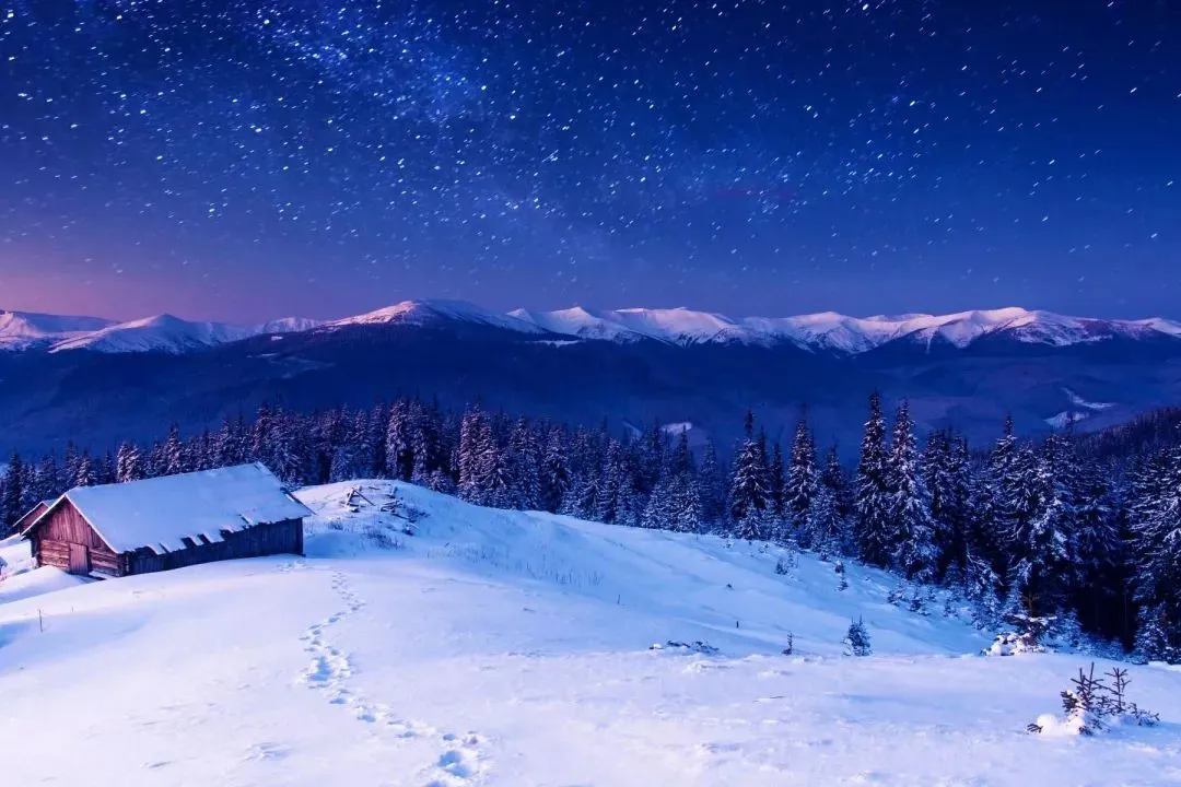 全篇《为什么我的高考试卷总是白纸啊?》苏欣欣李教授【后续】免费大结局 第4张