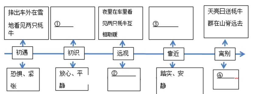 中考复习——人称的分类及作用 专题练习2025 第1张