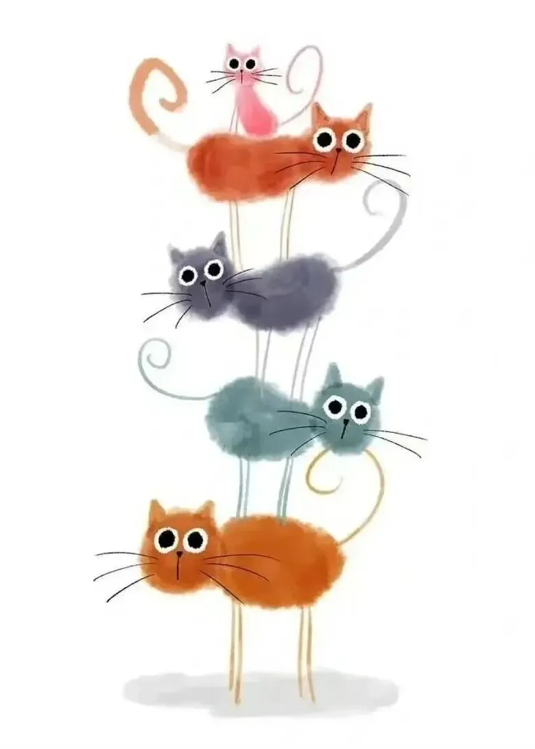 上海中考作文素材之师生情——感谢老师认可我的小众爱好 第1张