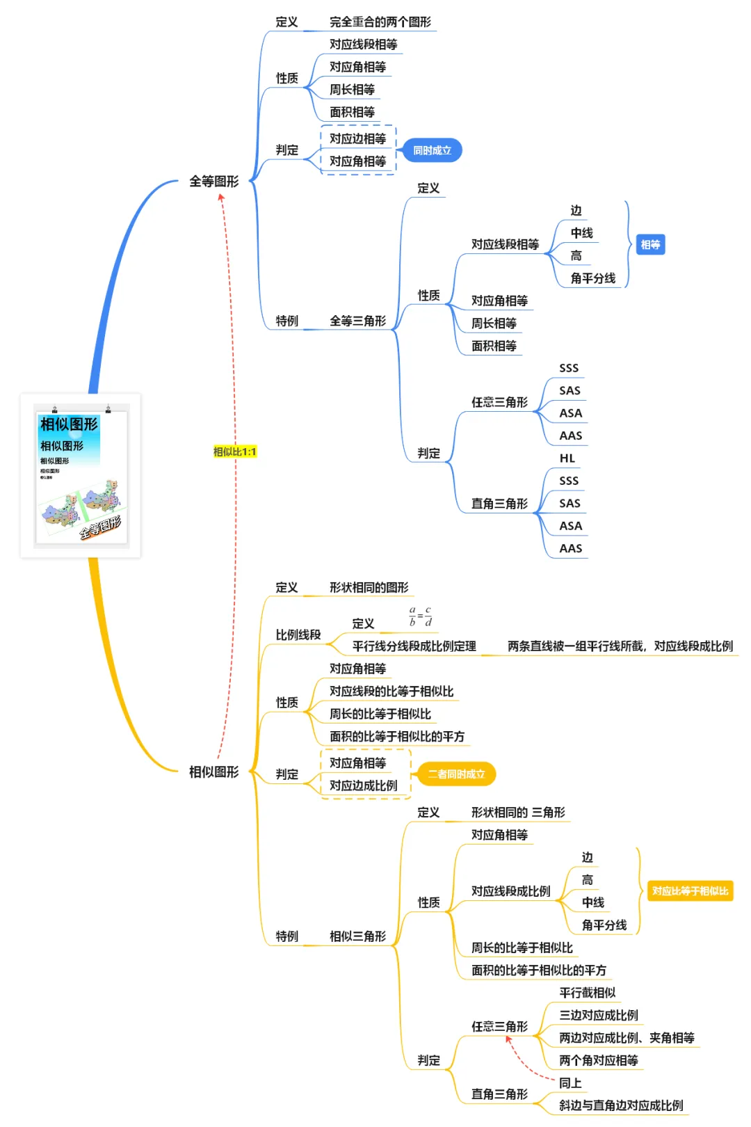 初中数学中考复习之相似、全等图形 第6张