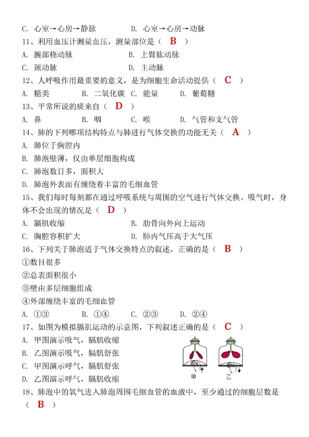 2026(春)七下生物期中考试模拟真题试卷(含答案),电子版可打印练习! 第5张