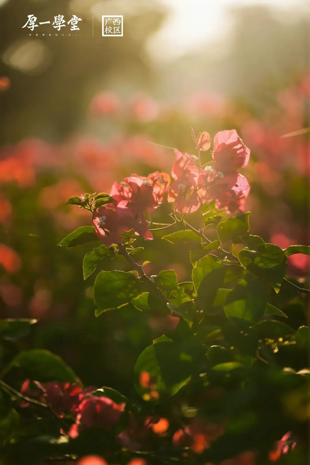 第二次模拟考 | 少有傲骨望高堂,不止于心动,更在于行动. 第8张