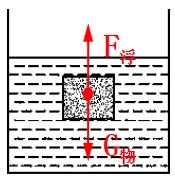 新编精粹物理中考专题讲座12:压强、浮力综合计算专题 第2张