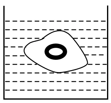 新编精粹物理中考专题讲座12:压强、浮力综合计算专题 第63张