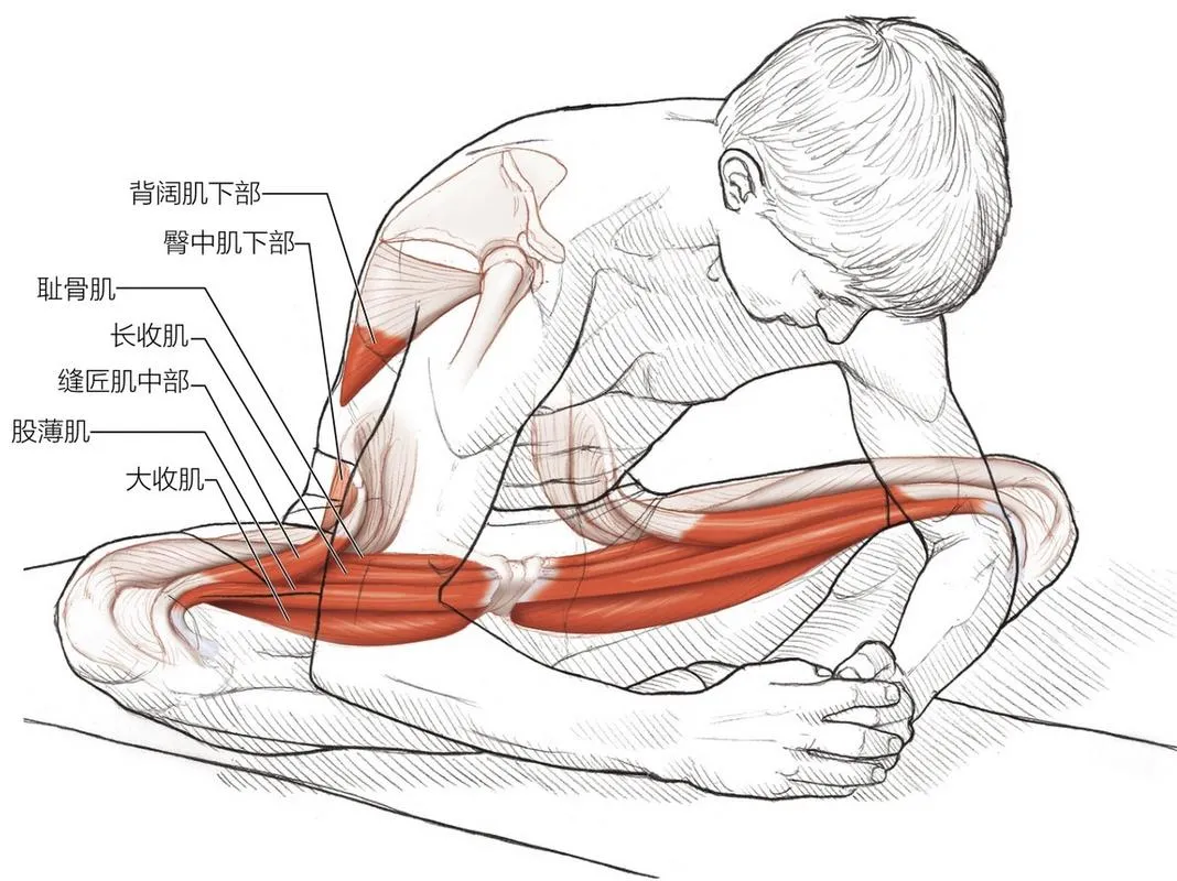 体育中考训练后必做的7个拉伸动作,缓解酸痛还能提升训练效果! 第12张