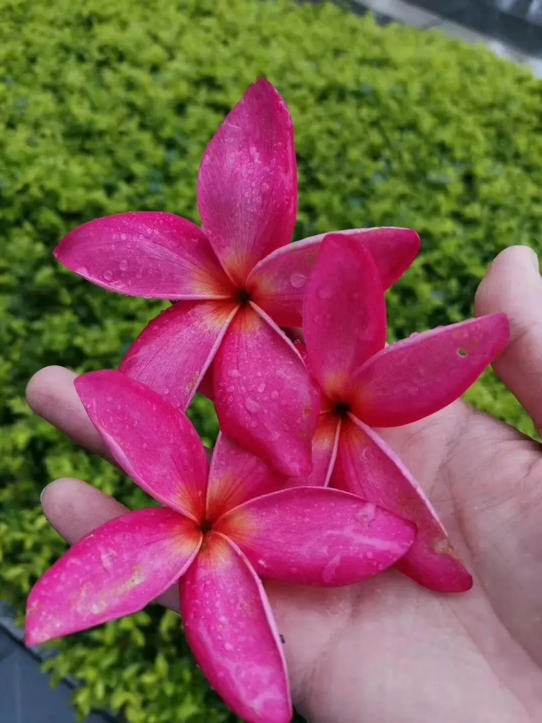 中考体育,完美落幕...... 第6张