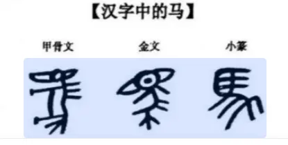 平顶山2026年中招学科第一次调研语文试卷【文字版+答案】 第1张 平顶山2026年中招学科第一次调研语文试卷【文字版+答案】 第1张