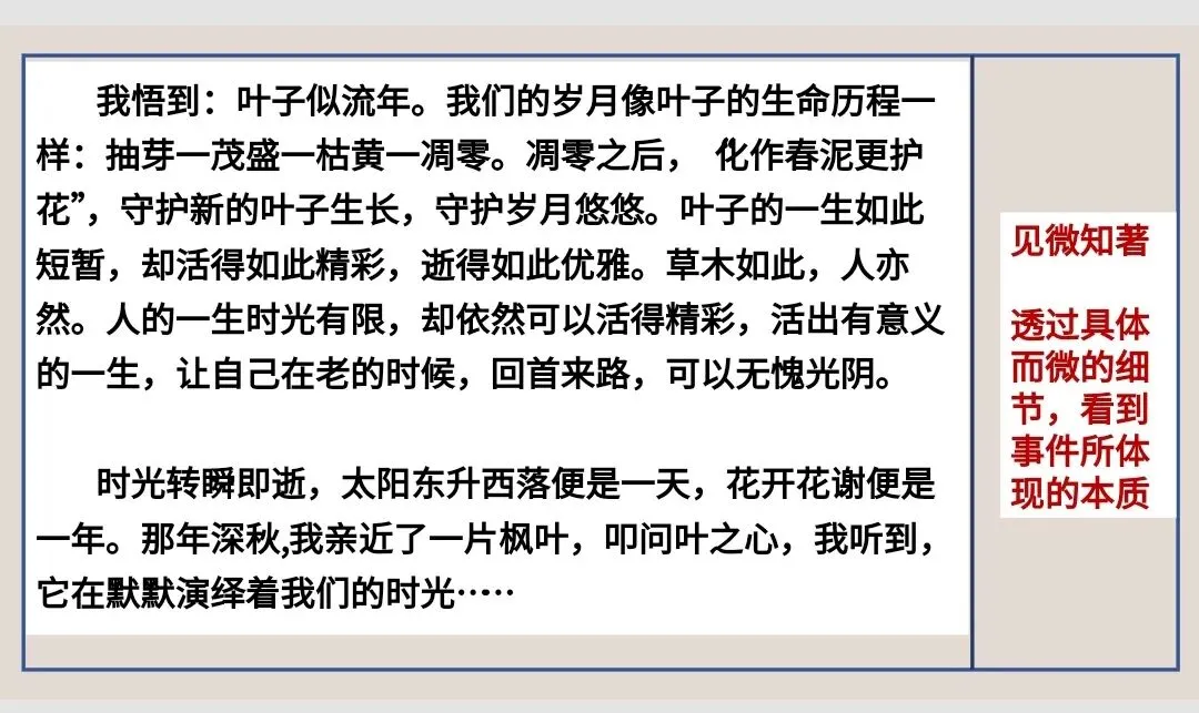 中考作文高分技巧——审题立意之以小见大 第27张