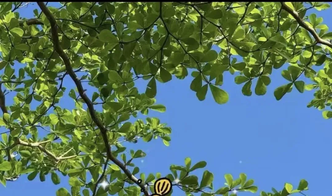 中考在即,稳稳托住初三孩子的情绪,就是最好的陪伴 第1张