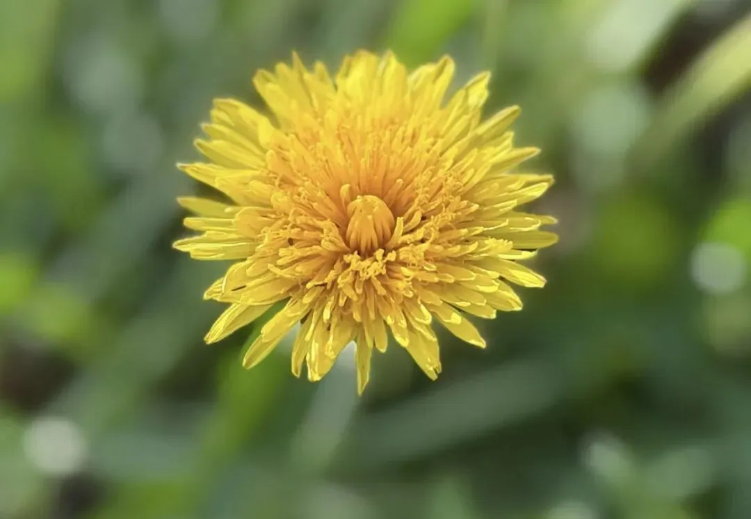 中考在即,稳稳托住初三孩子的情绪,就是最好的陪伴 第2张
