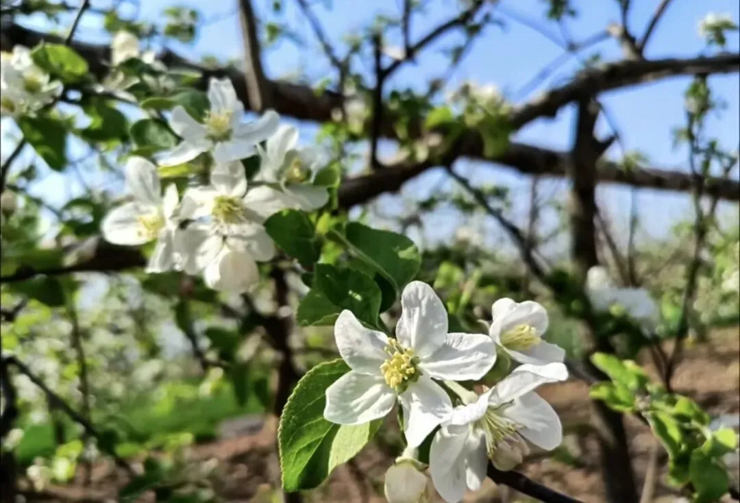 中考在即,稳稳托住初三孩子的情绪,就是最好的陪伴 第4张