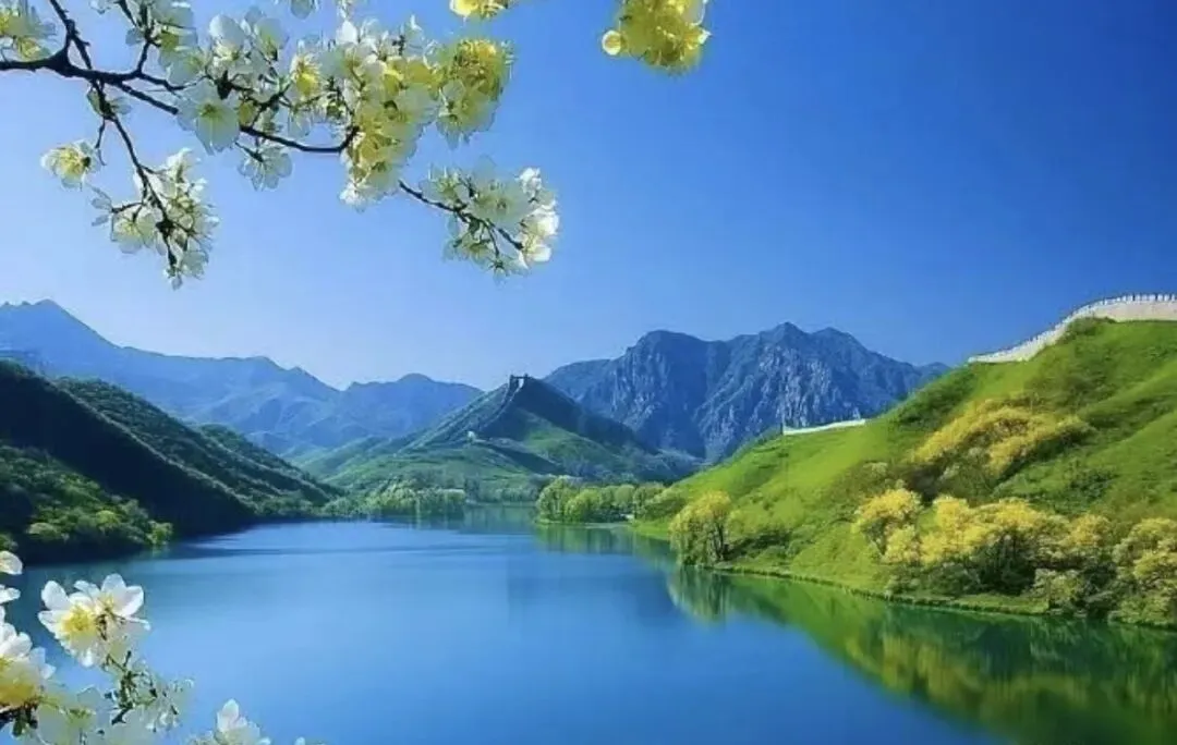 中考在即,稳稳托住初三孩子的情绪,就是最好的陪伴 第5张