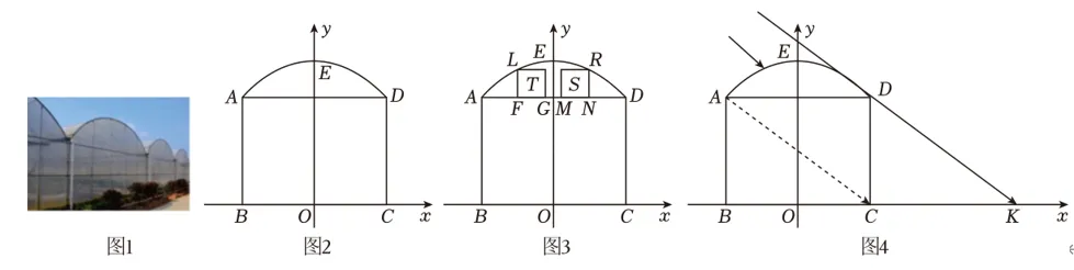 2026年深圳中考综合与实践之我见 第4张