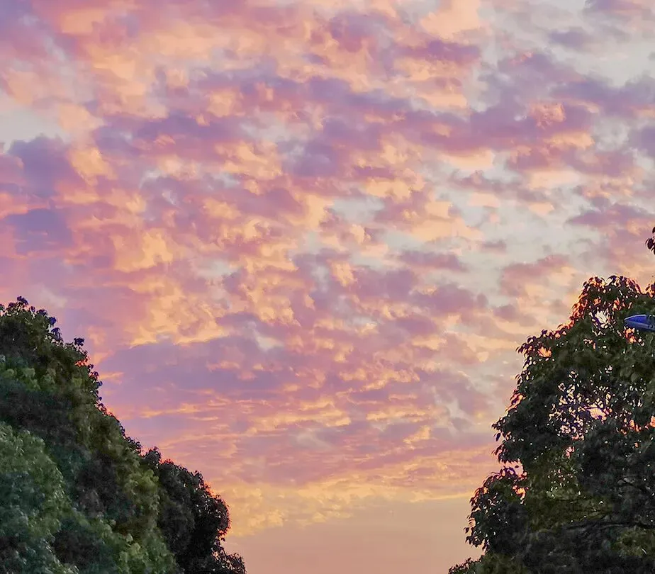 英语试卷深度对比:和平vs南开vs河西,考法有哪些“同与不同”? 第11张