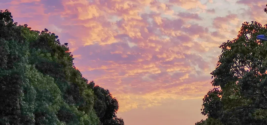 英语试卷深度对比:和平vs南开vs河西,考法有哪些“同与不同”? 第14张