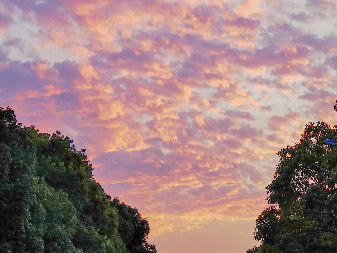 英语试卷深度对比:和平vs南开vs河西,考法有哪些“同与不同”? 第15张