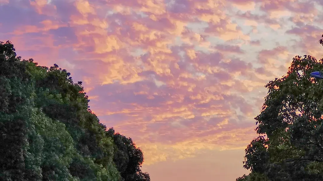 英语试卷深度对比:和平vs南开vs河西,考法有哪些“同与不同”? 第19张