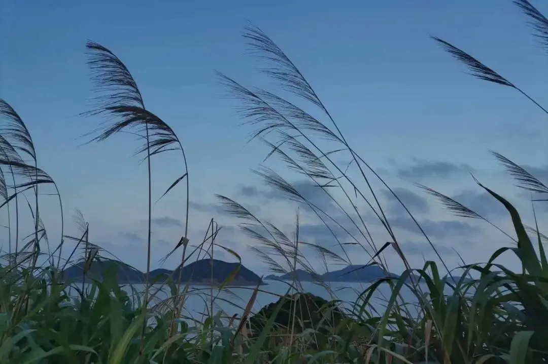 2026年台州市模拟考下水文:以水为邻 第1张