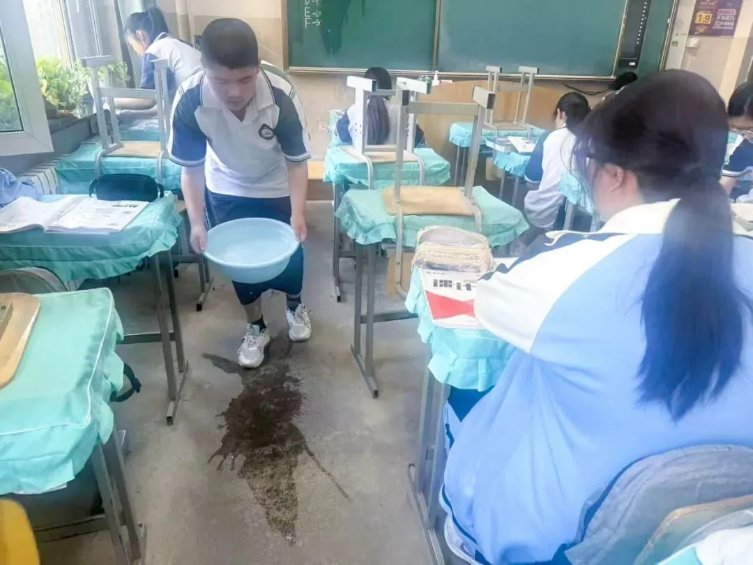 【我们的初三·2026中考大会战】9年11班风采展示 第52张