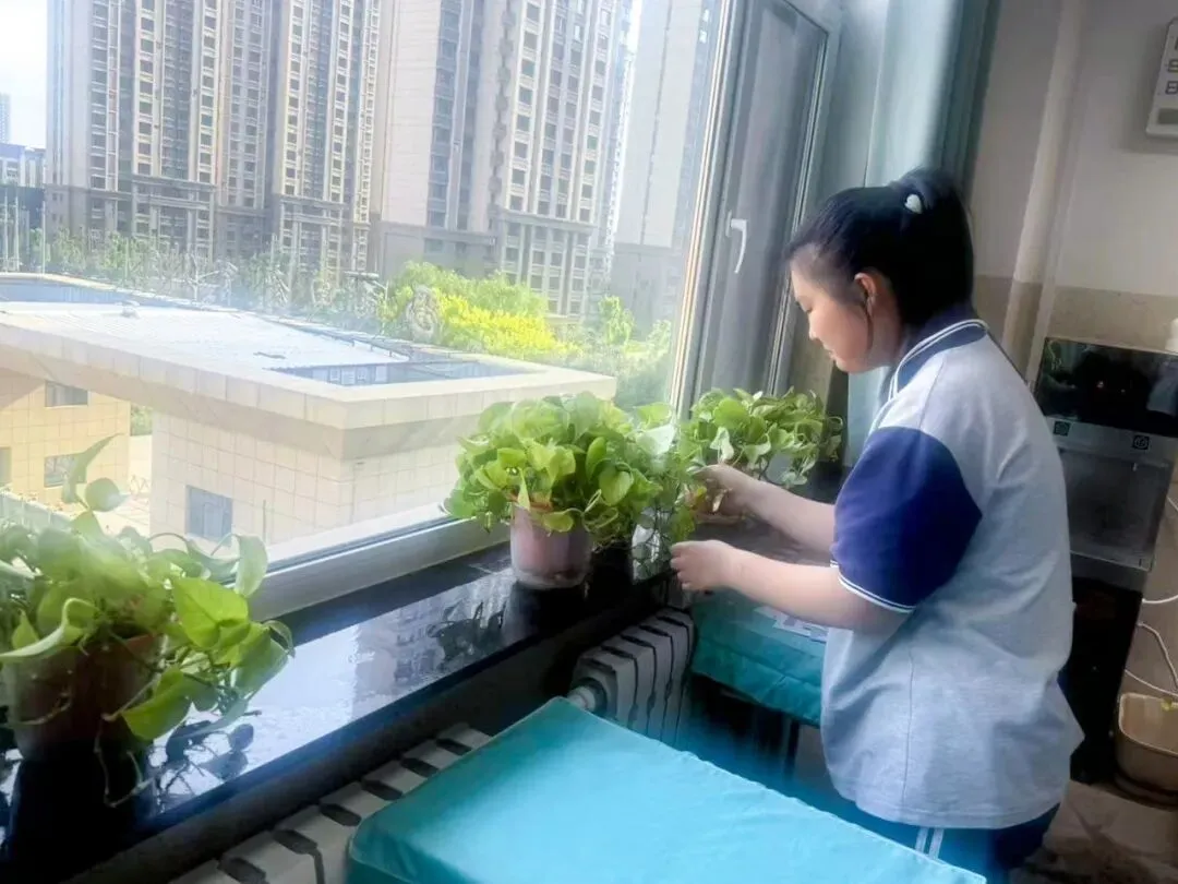 【我们的初三·2026中考大会战】9年11班风采展示 第55张