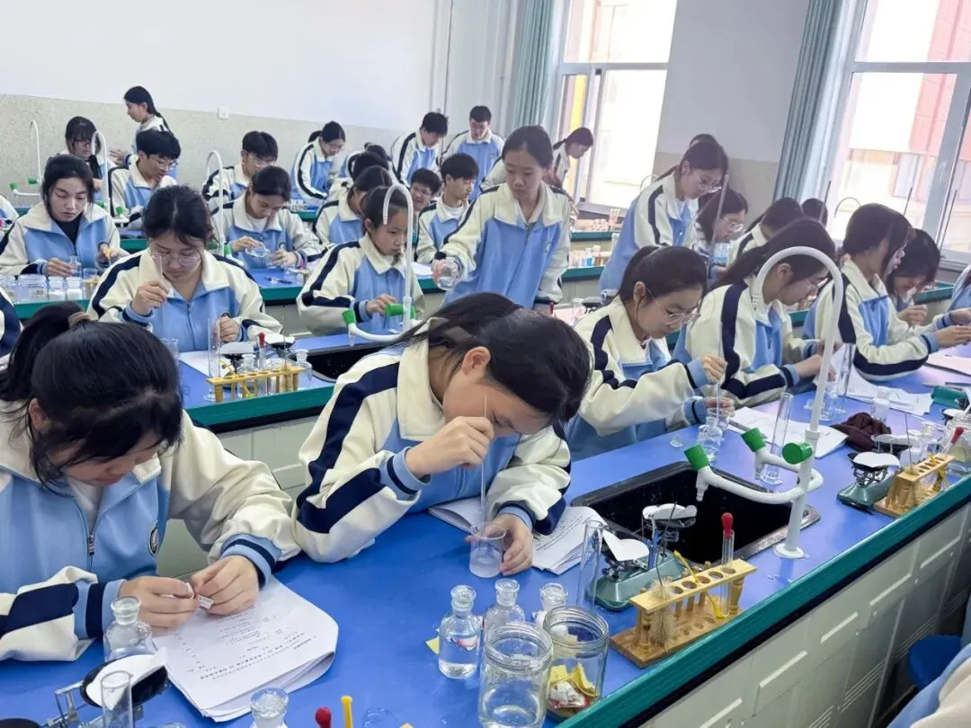 【我们的初三·2026中考大会战】9年11班风采展示 第98张