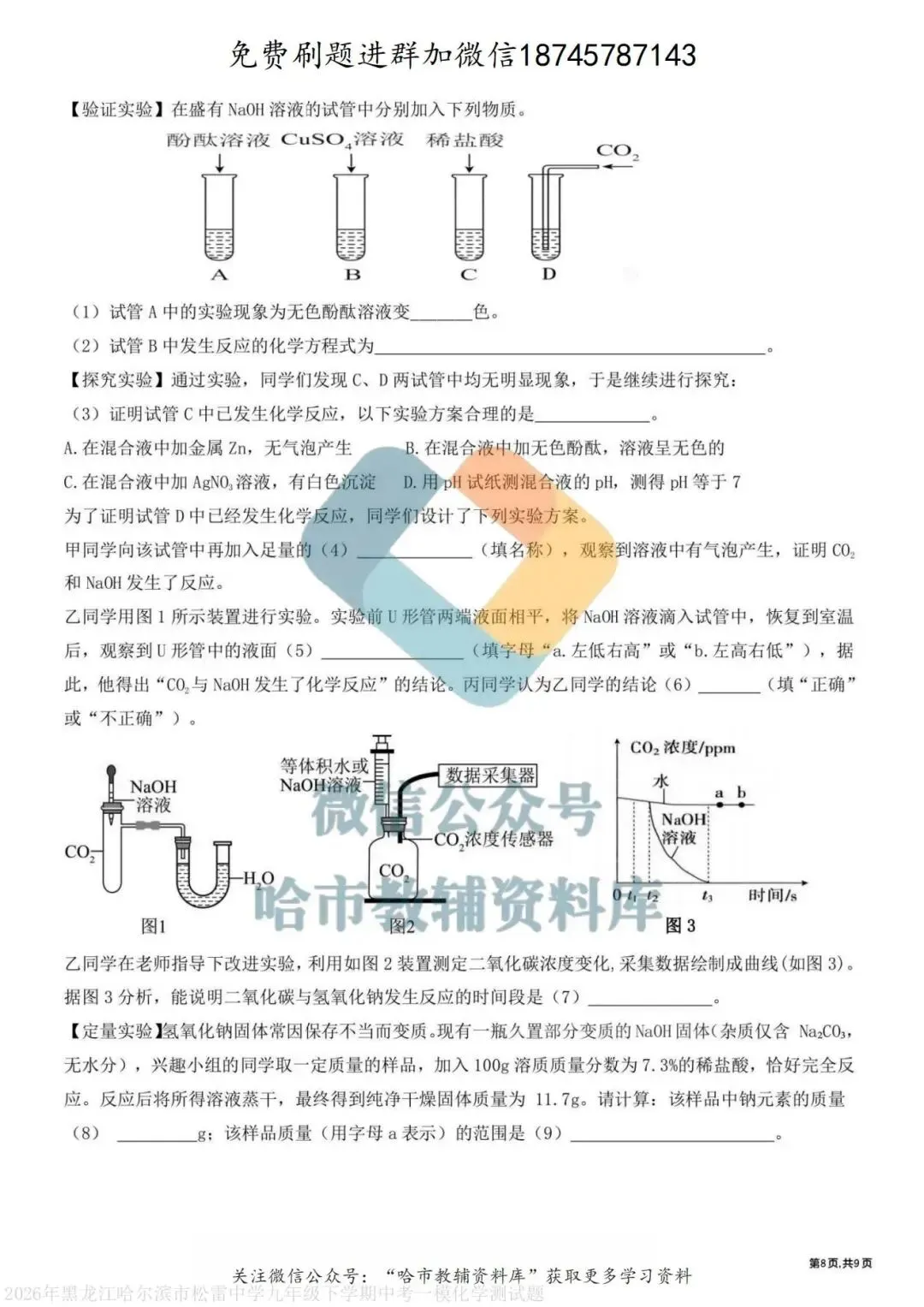 2026松雷中学九年级化学校一模试卷及答案 第9张