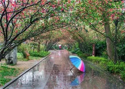 2026年中考模拟考试化学试题9 第6张