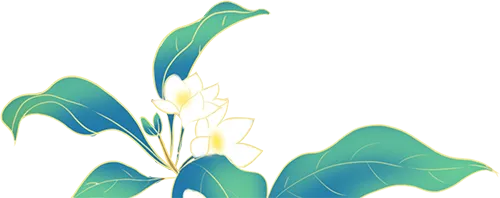 降分进名校!天津中考特长生全市招生通道(2025参考) 第11张