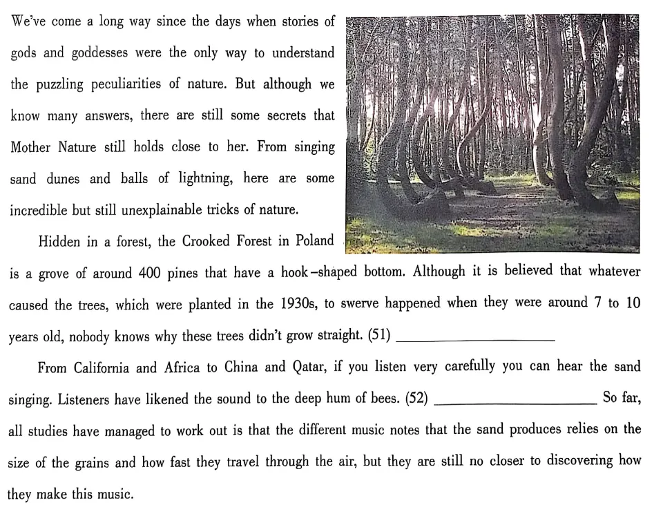 大英赛真题|2020-2025年全国大学生英语竞赛A、B、C、D类初赛及答案解析(电子版pdf) 第19张