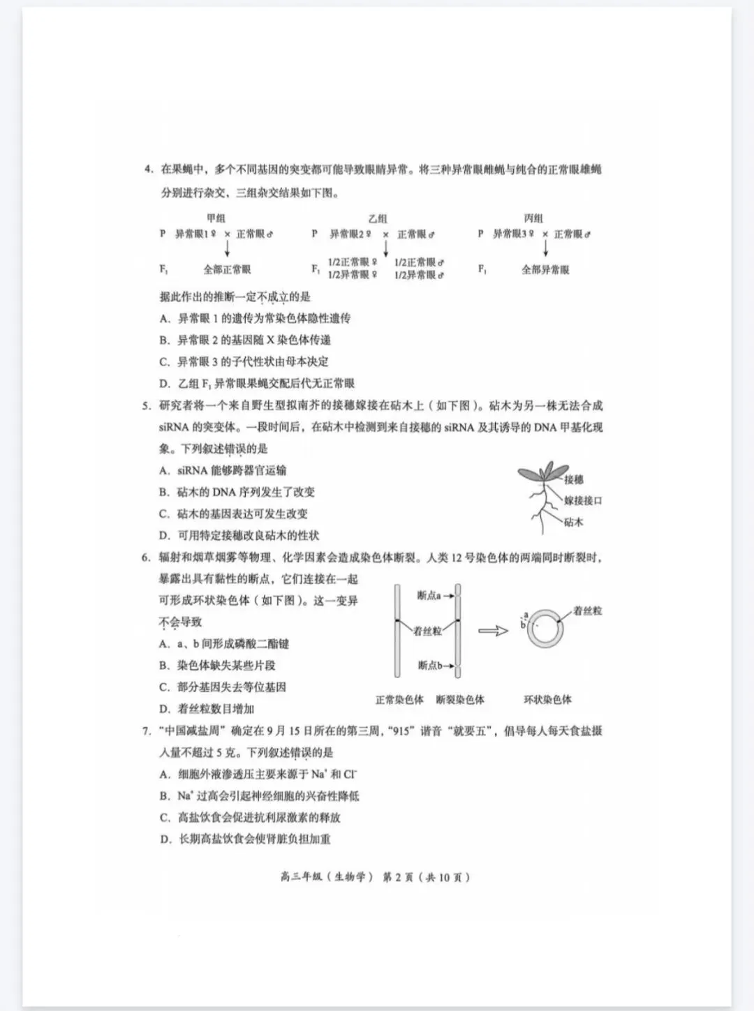 2026年北京海淀区高三一模生物学试卷 第2张