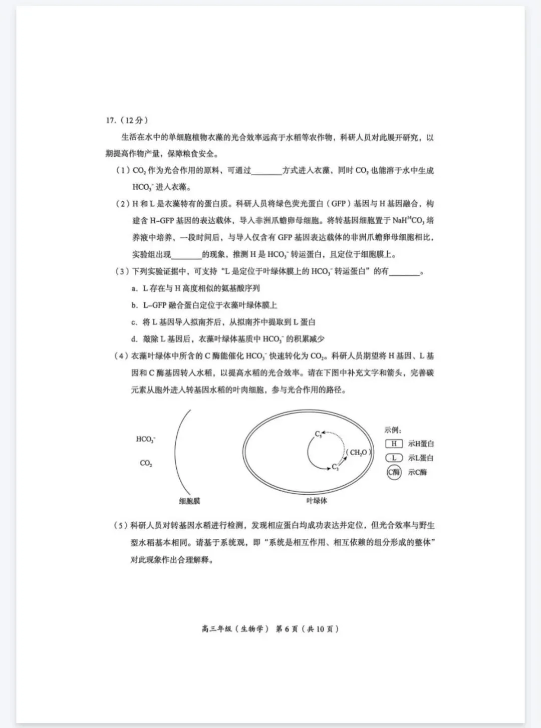 2026年北京海淀区高三一模生物学试卷 第6张
