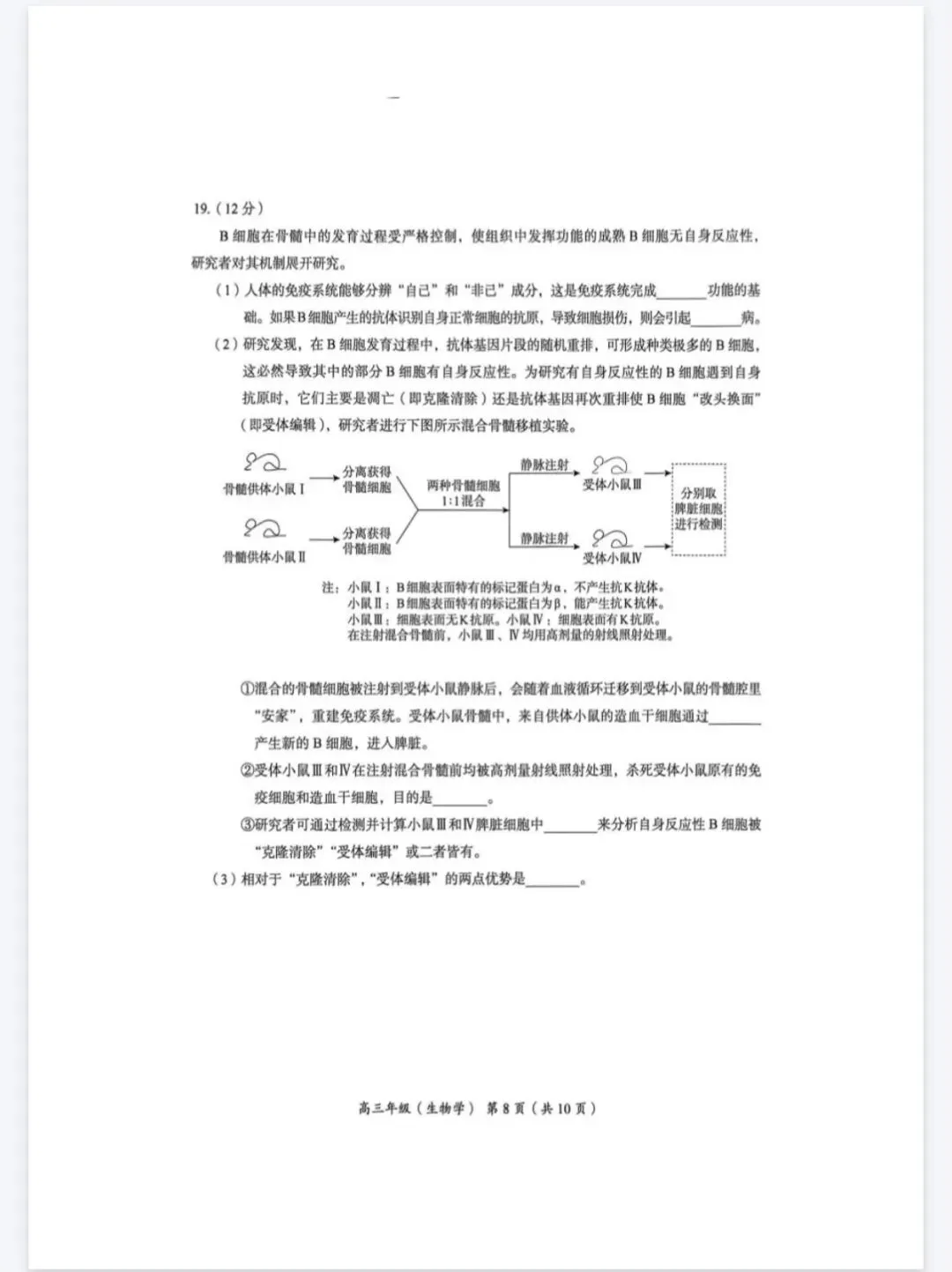 2026年北京海淀区高三一模生物学试卷 第8张