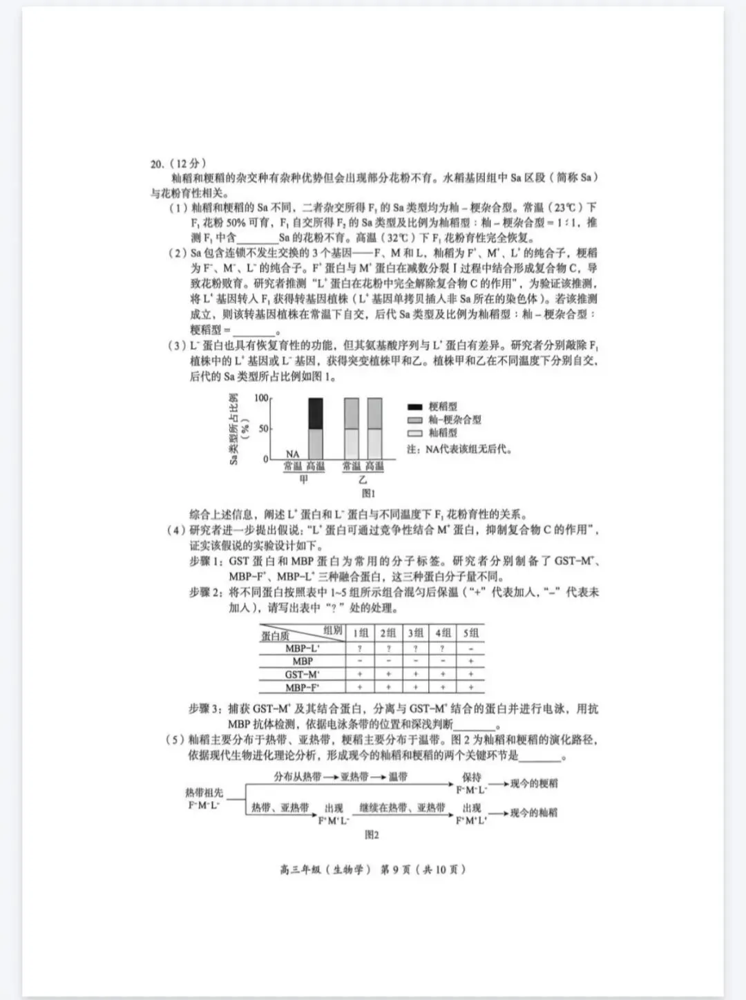 2026年北京海淀区高三一模生物学试卷 第9张