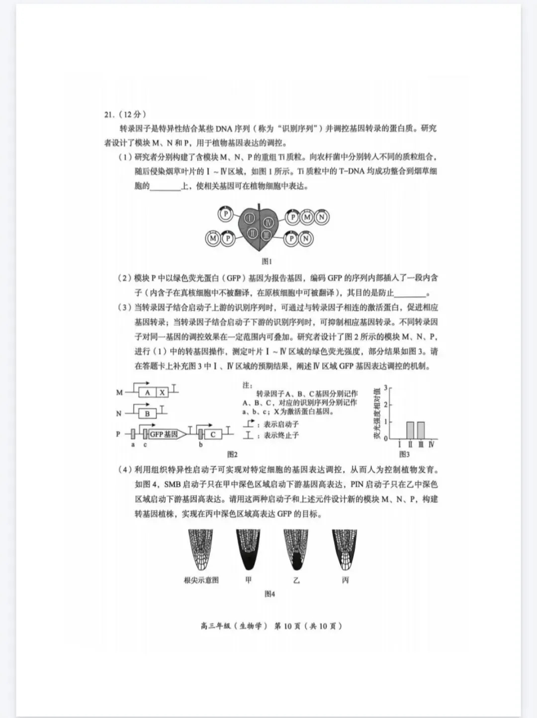 2026年北京海淀区高三一模生物学试卷 第10张