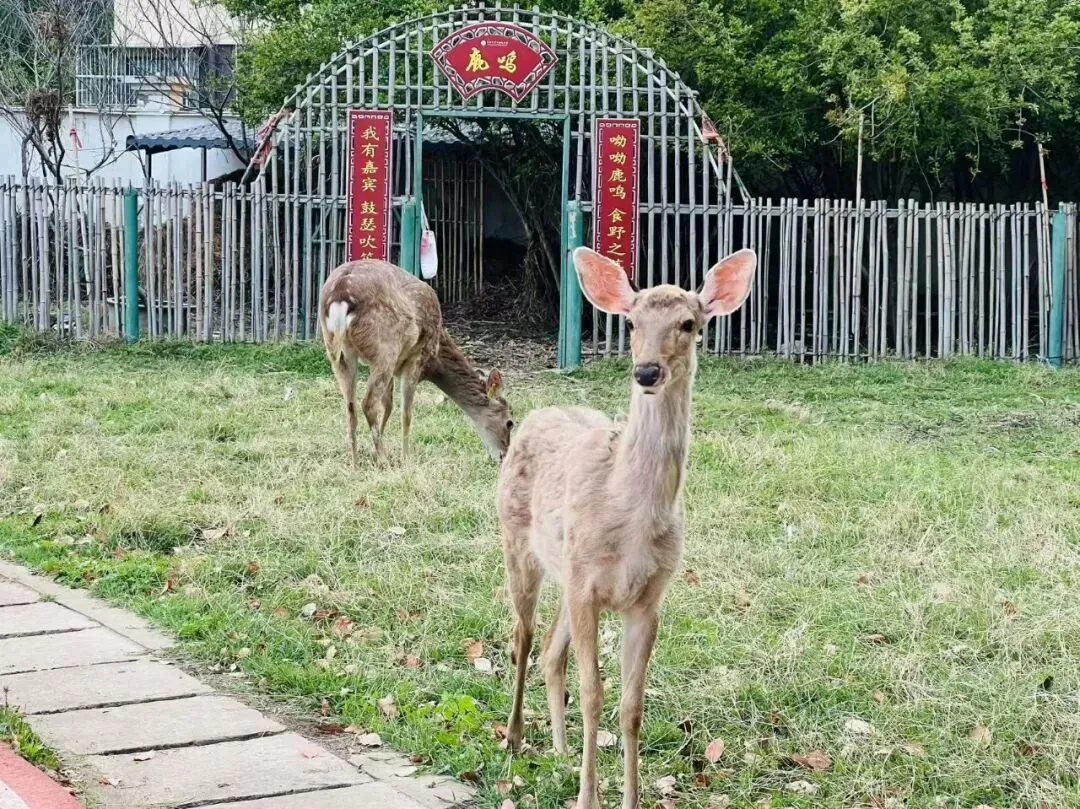 距中考64天丨感受小美好 第2张
