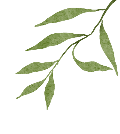 2026中考志愿填报|提前批次需慎重! 第7张 2026中考志愿填报|提前批次需慎重! 第7张