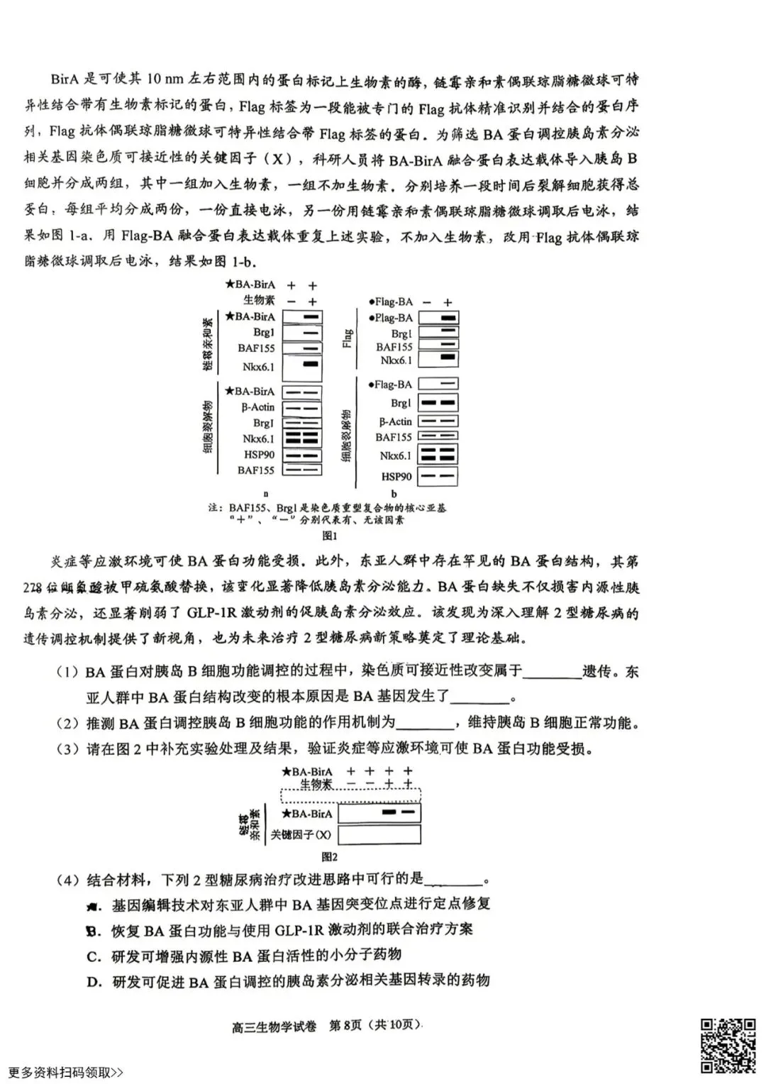 2026北京昌平高三一模生物试卷(含答案) 第8张