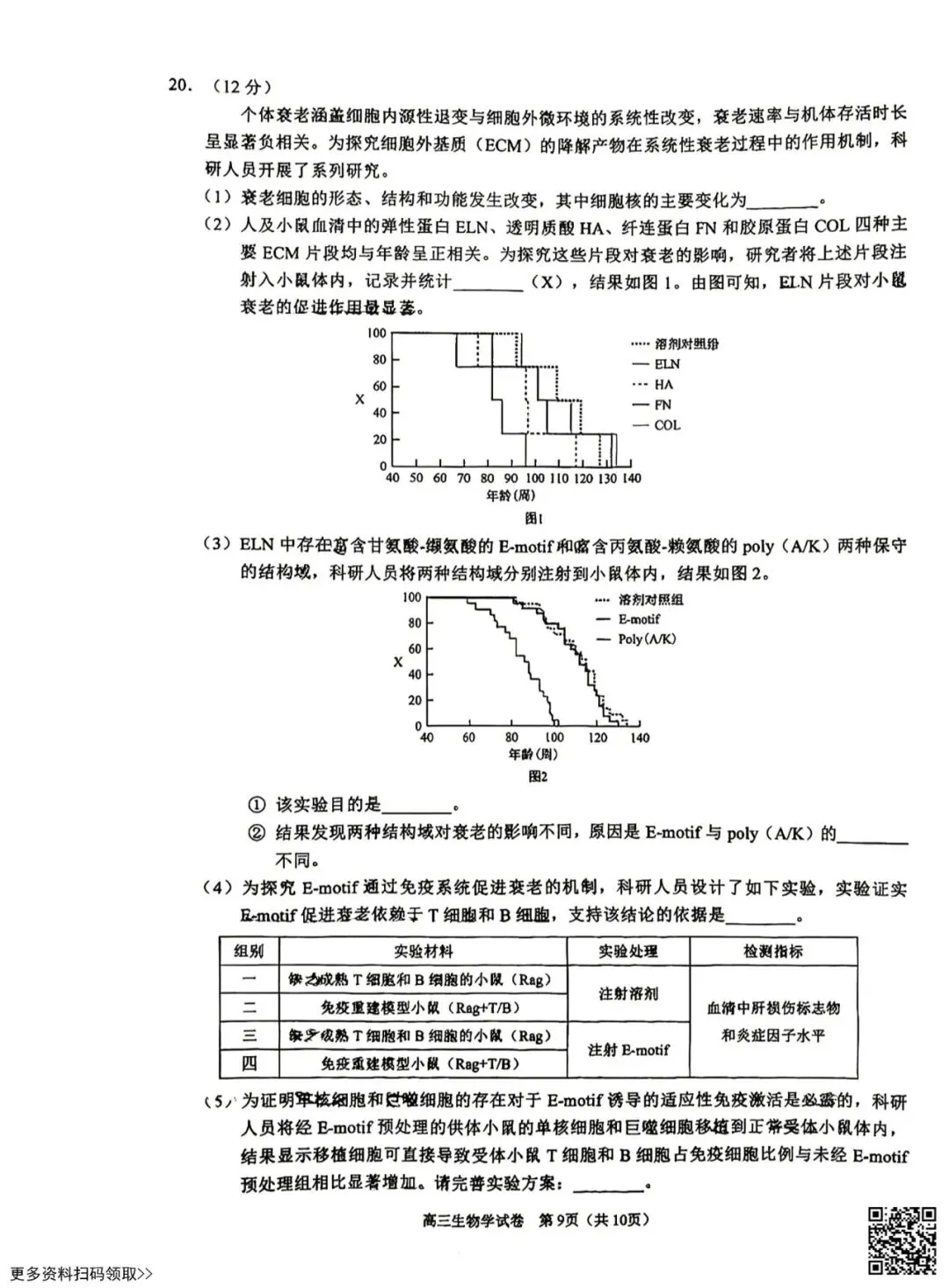 2026北京昌平高三一模生物试卷(含答案) 第9张