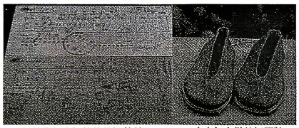 2026年云南初中学业水平考试模拟(一)历史试卷 第7张