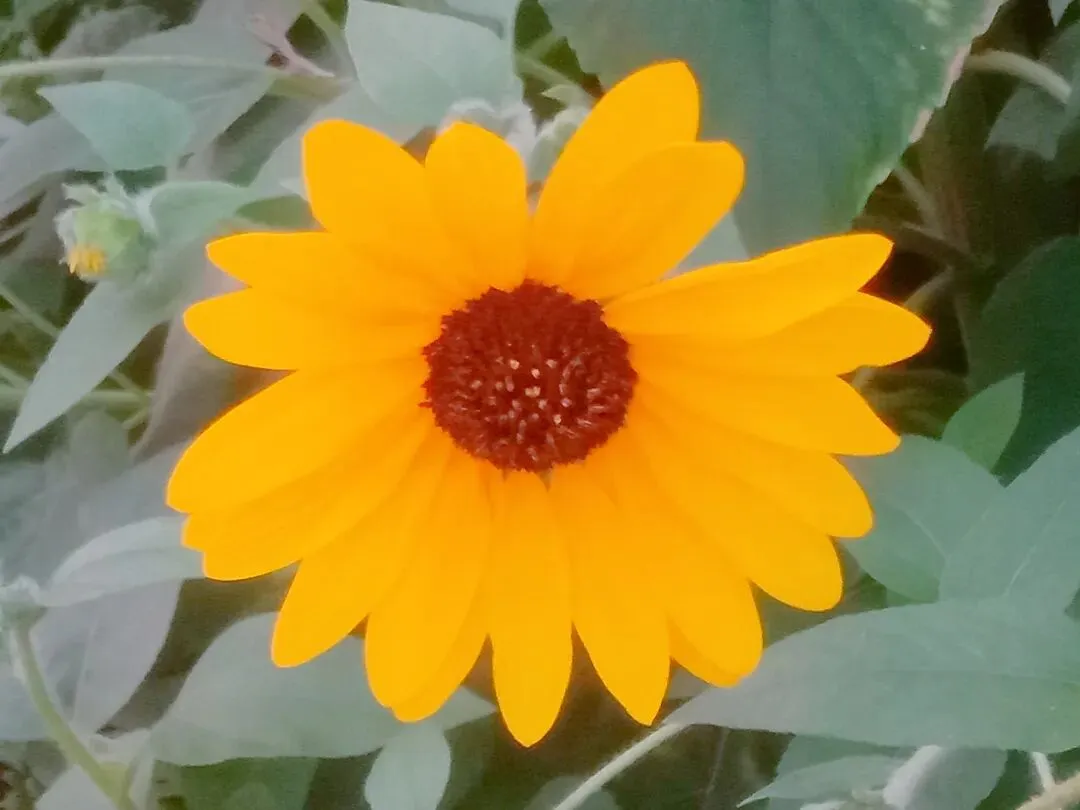 中考对联真题 第1张