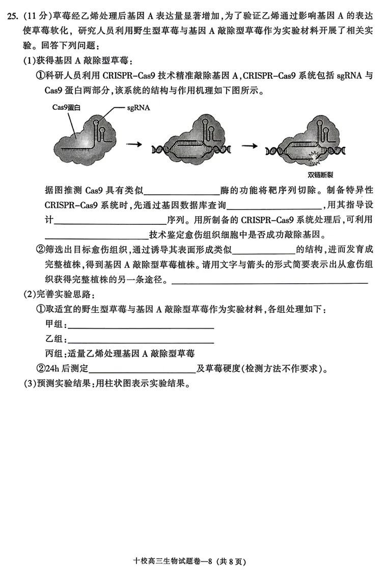 2026年4月金华十校二模高三生物试卷、答案和解析 第10张